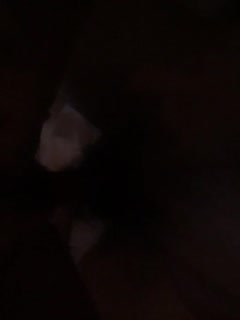 Kawaii anchor Daxiu selfie fan welfare video 816-9