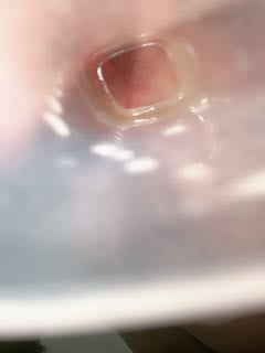 The best white tiger tender girl perfectly shows her sexy and hot body, her pussy is so tender and full of lewdness, her anus has been developed, and the close-up shows the pink little hole. Don’t miss it. Episode 01