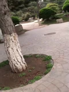Recently, the internet has gone viral with celebrity Berry showing off her oral sex in public parks.