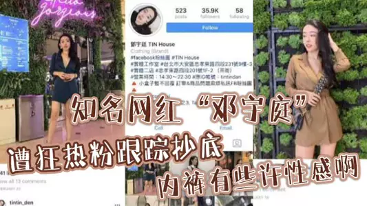 Well-known Internet celebrity 