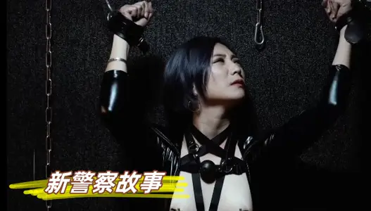 The New Police Story