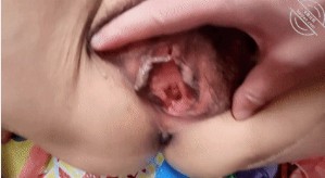 The story of a woman in her fifties.