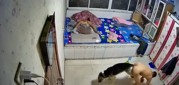 @ 20208020869 User Upload: If you don't help the wall, you will be convinced.