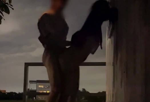 Stealing under the bridge to eat sticks and sticks later found that the field was suitable for wild cannons.