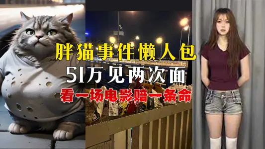 The Fat Cat Incident Lazy Man Bao Dang Fat Cat Encountered a Fishing Woman How did a young man embark on the road of no return The only last wish to eat McDonald's