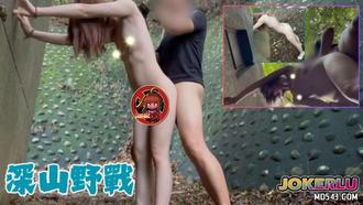 [Field Series] Secret Realm in the Forest