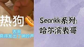 Seankk series Harbin cousin