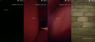 Mr. Shen's club chose 523_(new).