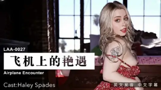 An encounter on the plane