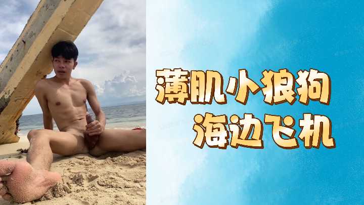 Thin muscle small wolf dog seaside plane