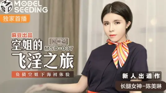 Madou-Flight Attendant's Journey to Sex-First Experience of Debt Flight Attendant in Sea-Chen Meilin